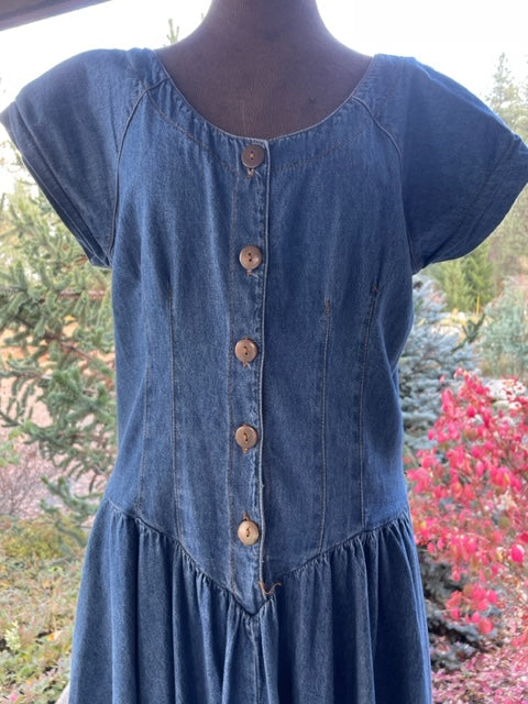 Vintage Drop Waist Demin Western Dress