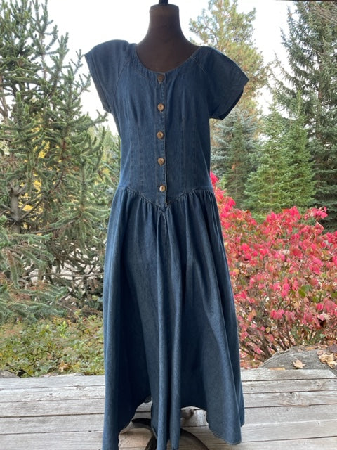 Vintage Drop Waist Demin Western Dress