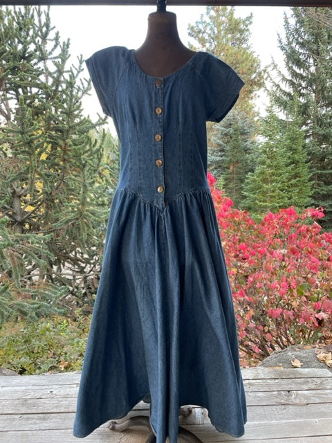 Vintage Drop Waist Demin Western Dress